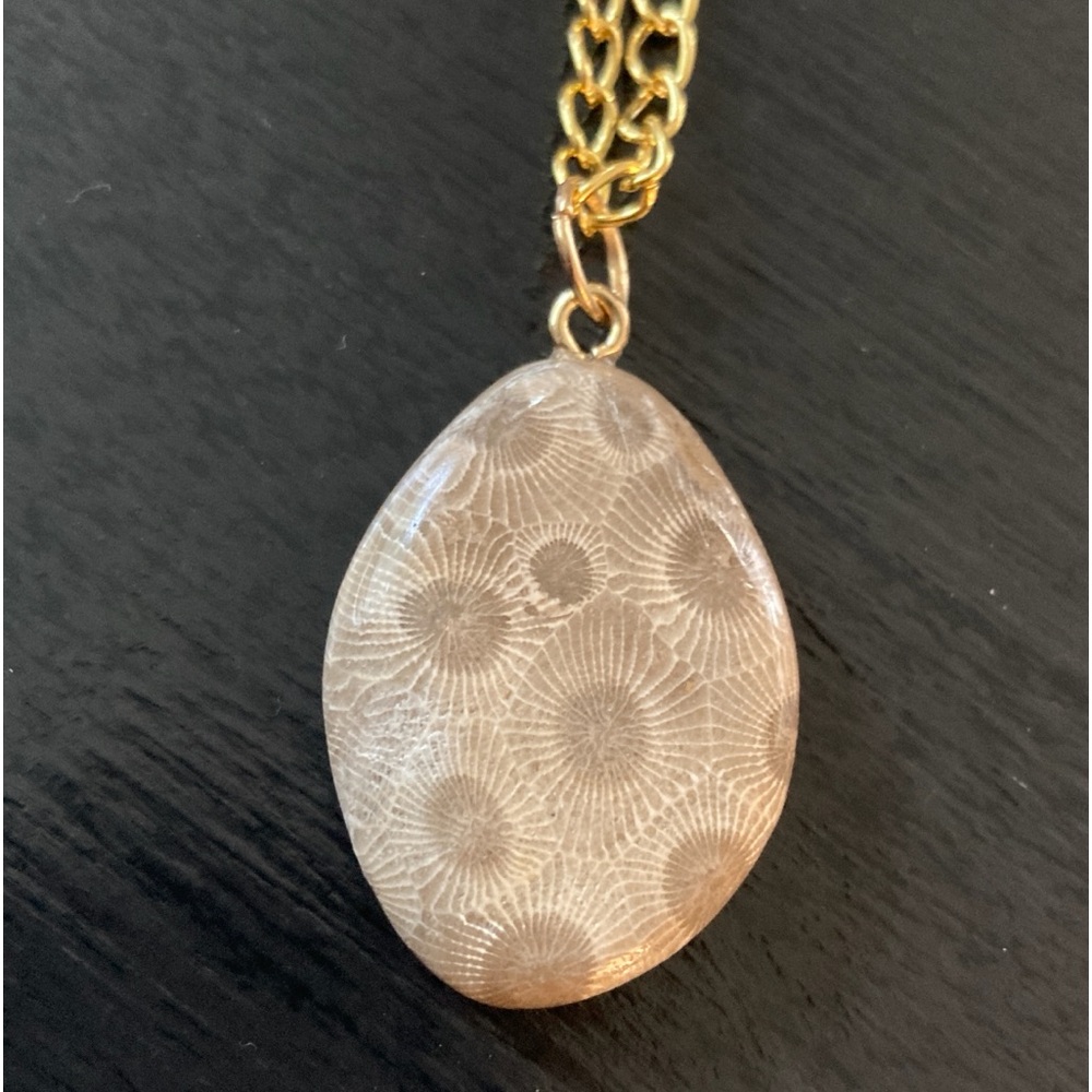 Beautiful handmade Petoskey Stone pendant with Gold tone 20" Chain Necklace. - Picture 2 of 9